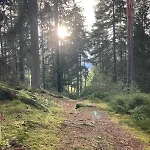 Paula St. Georgen im Schwarzwald