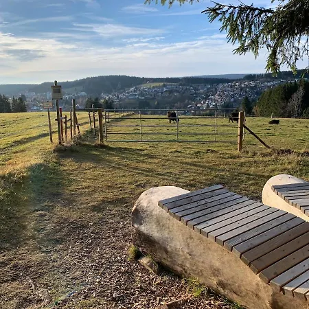 Apartamento Paula St. Georgen im Schwarzwald